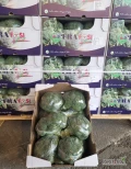 Brokuł 10x500g Włochy - świeża dostawa.
