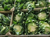 Sprzedam kalafior 6 sztuk w skrzynce drewnianej, import. Ilości cało samochodowe. Szybka realizacja zamówień. Zapraszam do kontaktu i...