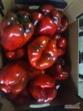 Sprzedam paprykę czerwoną i żółtą (klasy I). Kaliber papryki 8+. Możliwość dowozu Radom+100km po ustaleniu ceny. Cena podana za sam...