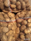 Sprzedam ziemniaki jadalne odmiany Otolia, kilkanaście ton, bardzo smaczne, idealne na kluski,pierogi,placki ziemniaczane. Cena 18zł/15kg...
