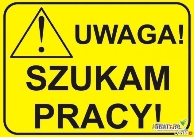 /images/posts/2025/05/2012286/Rrs5SnwYI0746X3zsS7Jzu1BdBDplJ2sxlDTyBR5.jpeg