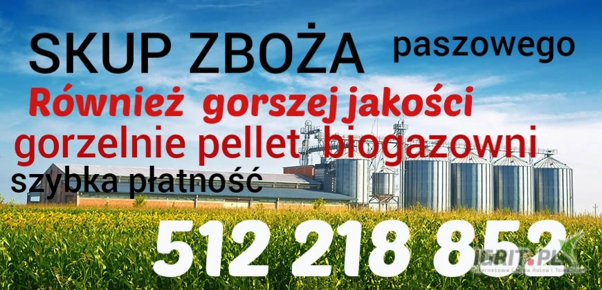 /images/posts/2025/05/2012294/ijEPfylwq96IdyjEa0Db33qHJGJOW6Aba5tWzlOI.jpeg