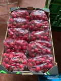 Sprzedam rzodkiew kulka, opakowanie worek foliowy 10kg 
