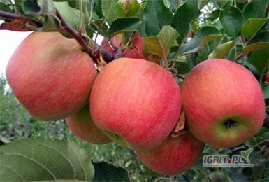 /images/posts/2025/05/2012309/pMRz8NfbMowXcjQp7p1Nfu0nhY0IbsjSjCVem2L1.jpeg