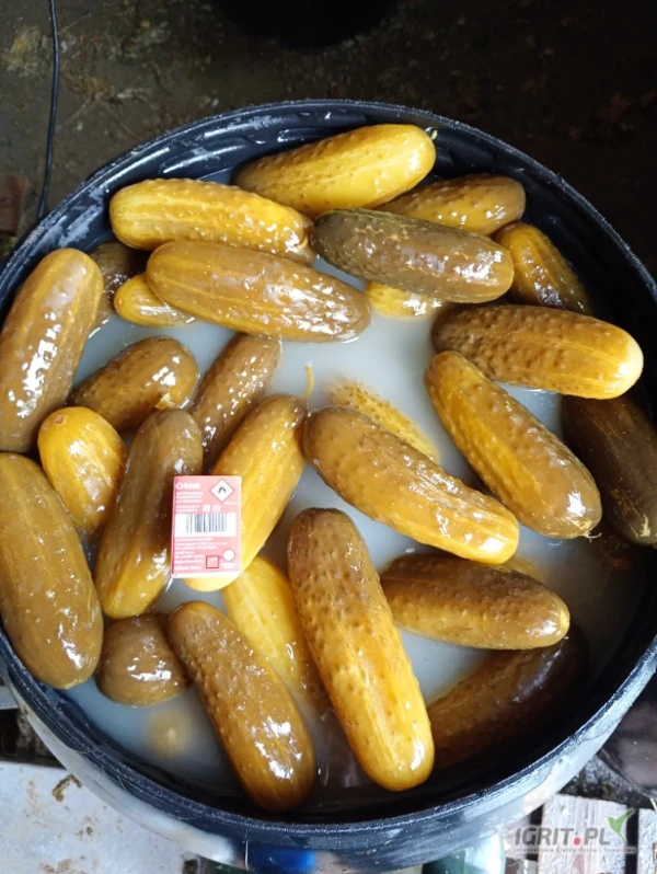 /images/posts/2025/05/2012311/jGfxE1bYBM5uoNhxSUyWziLcmB5DxLyLcGvCp89R.jpeg