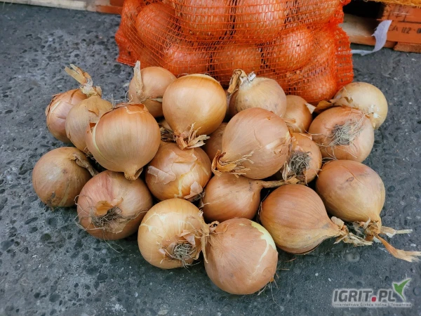 /images/posts/2025/05/2012357/k4kC3QXBNmVgLv8MfwVtts6B6X5jvoPC6Efbar4O.jpeg