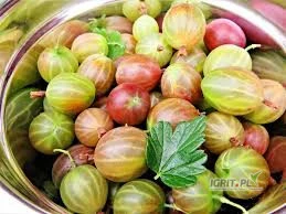 /images/posts/2025/05/2012358/l15ITJRLXVlFxxzIxmPvrWqsZA7fkLhP8UoivpR1.jpeg