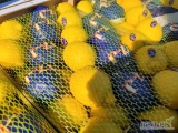 Cytryna 10kg verna 4 "07-J" - świeża dostawa Warszawa