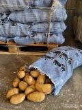 Ziemniaki 10 kg Egipt- świeża dostawa.
