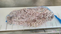 Sprzedam naturalną osłonkę kiełbasianą. Produkt niekalibrowany i niesortowany, przeznaczone do dalszej obróbki. Cena 1,35 EUR za 1...