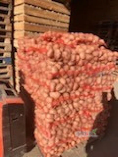 /images/posts/2025/02/1971484/nyisSgf25qFYzVNkZkgw5PHrwz3JXo8G7O57CmBe.jpeg