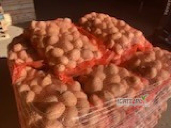 /images/posts/2025/02/1971484/soHqhSI7TCKt6x5oOgjYrVCe9Psa9ni1ILd5jbg3.jpeg