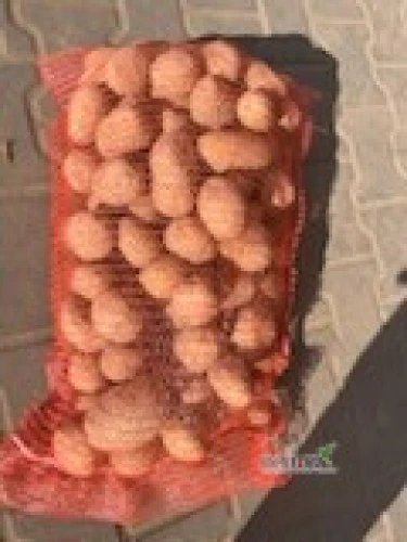 /images/posts/2025/02/1971484/vTl9hyitz05RA0LQEqQCE20NQai6IrGuPWg5MtHm.jpeg
