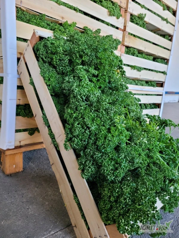 /images/posts/2025/03/1989426/hqJDNKr19lzlH5FR2WGFWNGrNilIdxnHqPNGiGhO.jpeg
