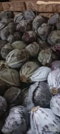 Sprzedam kapustę białą I czerwoną kaliber handlowy jakości dobrej opak.karton box lub wtorek ilości 4-5 ton ładunki jednorazowe....