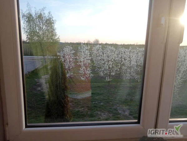 /images/posts/2025/01/1963072/HNmB28hAb1rSJgVEizXIJDSF8IjHSFooCBXeyUCy.jpeg