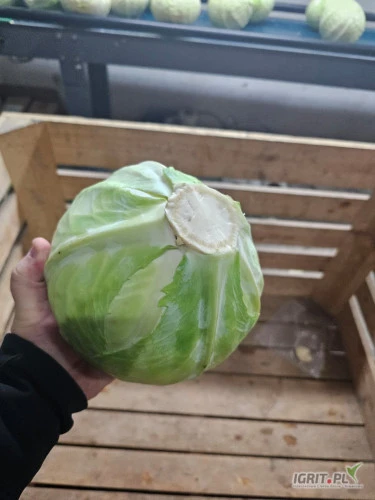 /images/posts/2025/02/1974706/5RwAYJ3uHnrU8pmvMI7LZYrR9WIjUe19DmaCmjh8.jpeg