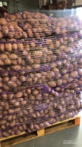Oferuję ziemniaki żółte Soraya. Pakowanie 15 kg. Fito, odprawa