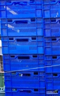 Sprzedam skrzynki plastikowe 12kg stan bardzo dobry Lublin 