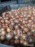 Sprzedam cebulę żółta kaliber 5/7/5-8 Worek 10/15 kg bigbag  Cebula fazorowana ilości tirowe i paletowe 