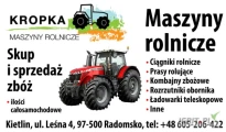 Kupie pszenicę. Ilości całosamochodowe minimum 25 ton. Odbiór własnym transportem. Kontakt telefoniczny 605 206 422.