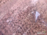 Sól potasowa KM 60, Big bagi 500 kg, cena netto 1.400 zł/tona + 8% VAT
