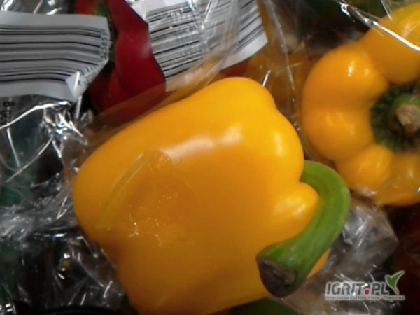 /images/posts/2025/04/2001798/YnBYpR0DTiVgIWP0pLvaLpJoGLKAwst8d9y02b2C.jpeg