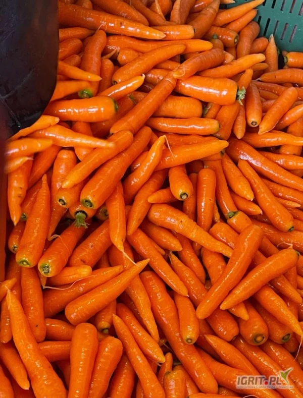 /images/posts/2025/05/2012772/X4igjOtTC5JxNbCAipTbLwmCbxh4WQXkK4joWD29.jpeg
