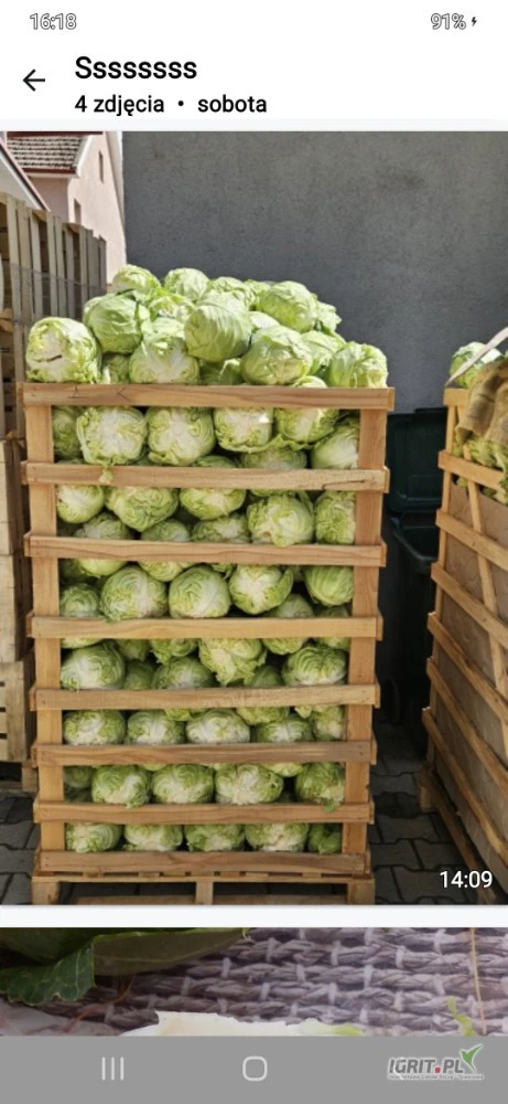 /images/posts/2025/05/2012779/ndeKXT4gloh9nbNpQ8Qr8ur54QCj5YJC8lFmoHOw.jpeg