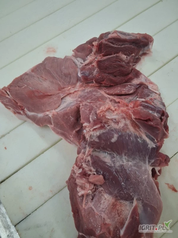 /images/posts/2025/05/2012806/3znh3khKTrOXSjfQdw7nZMbLkoJPbW46YfPnMqp4.jpeg