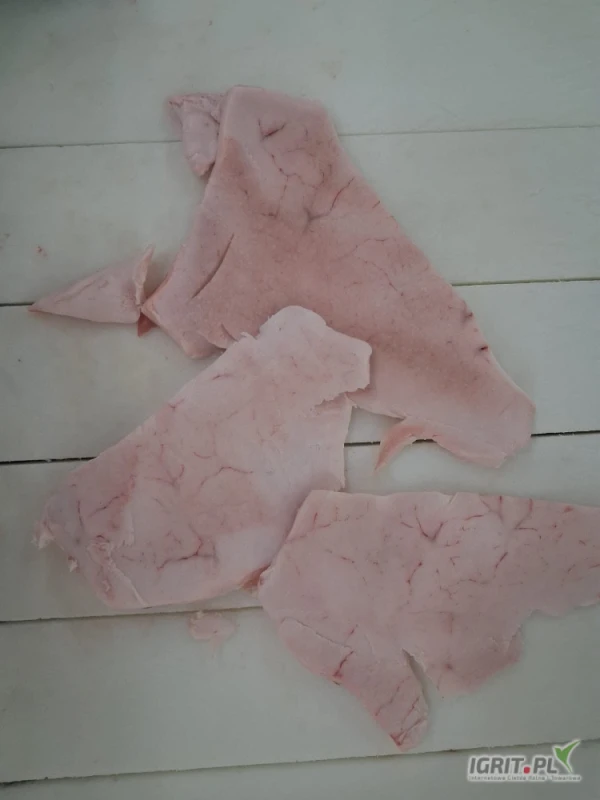 /images/posts/2025/05/2012812/ztDuW9exhT4rYO1NvVY6G8lRFt8EJe5GMnqFPFLq.jpeg