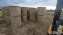 Sprzedam słomę w belach 120x120 po prasie new holland około 2000 tyś bel słoma żytnia sucha
