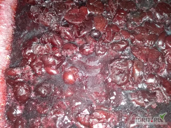 /images/posts/2025/05/2012879/aXRjwTTsMxhFaJM83frh68vhtNLHkOYCsAuCRSgs.jpeg