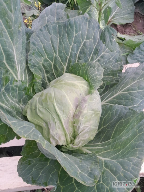 /images/posts/2025/05/2012908/9nshlJLm9VpP5GeuUJfu0PBhNQ7kpai7nVRyUNaT.jpeg