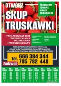 Poszukiwana osoba do prowadzenia skupu jagód leśnych, aroni, truskawek, wiśni, maliny, porzeczki czarnej i czer jabłek,jeżyny w sezonie...