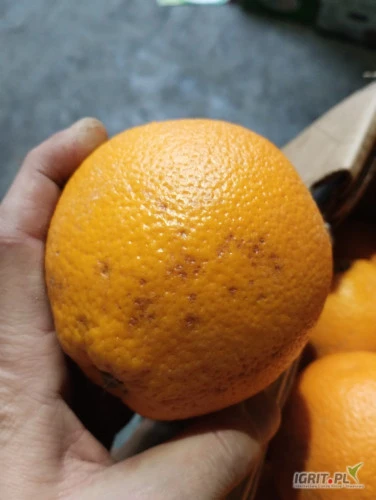 /images/posts/2024/11/1940162/b4OcXqx1oohKMT2LWfqVPHG5TBpQZepYsEUzBmDW.jpeg