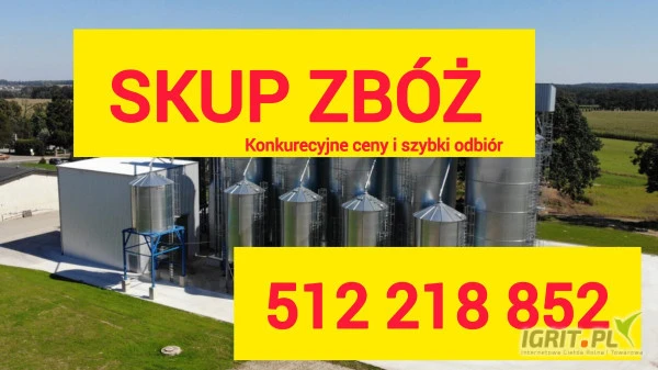 /images/posts/2025/02/1971830/kKXvgFkFaQIPkmrNhp1Y2hGpRCNjACIYeExZi27r.jpeg