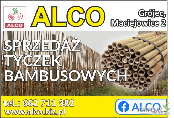 /images/posts/2025/03/1990344/OnVJeDo52FKQCWNrgGV3sCAzRIZuBW9uSQz12T2N.jpeg