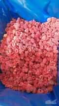 Sprzedam mrozona malina 50/50, cialy samochod, 20 000kg, pakowanie 10kg, karton box. 