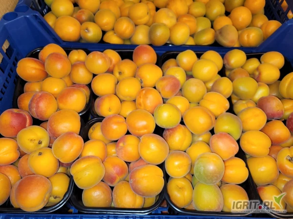 /images/posts/2025/05/2013043/qZuOWNpggDuwMzO1wen0wWyeQ7qvOGcQYiSH74Ew.jpeg