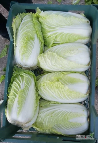 /images/posts/2025/02/1970771/cQhiY6Y9Xj4UfGxnGzH7CIY7YyqRri0Ke7CeQ1Iy.jpeg