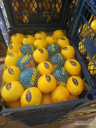 /images/posts/2024/11/1933272/WuHCyO7Skhf3p97VXlnfncKrUa2oqVqi5lIKGbTX.jpeg