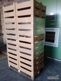 Sprzedam nowe kartony 14kg na jabłka. Ilość 220szt.