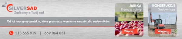 /images/posts/2025/01/1962448/bGziawAr4k5A2aAyEbKrftqlLRHVNJdSH9jHROKa.jpeg