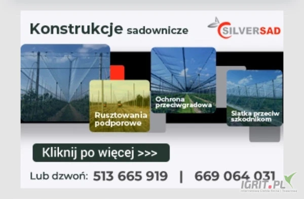 /images/posts/2025/01/1962448/1qZnA64pDkfJlEZytZmZPapDO1PQb7jZaDXsCsHn.jpeg