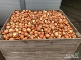 Sprzedam cebulę na obieranie, około 7 ton, luzem lub pakowana w worki 15 lub 20 kg, cena do uzgodnienia, zainteresowanych zapraszam do...