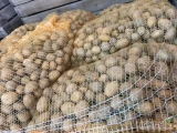 Sprzedam ziemniaki kaliber 30-40, Soraya  Gala, Corina