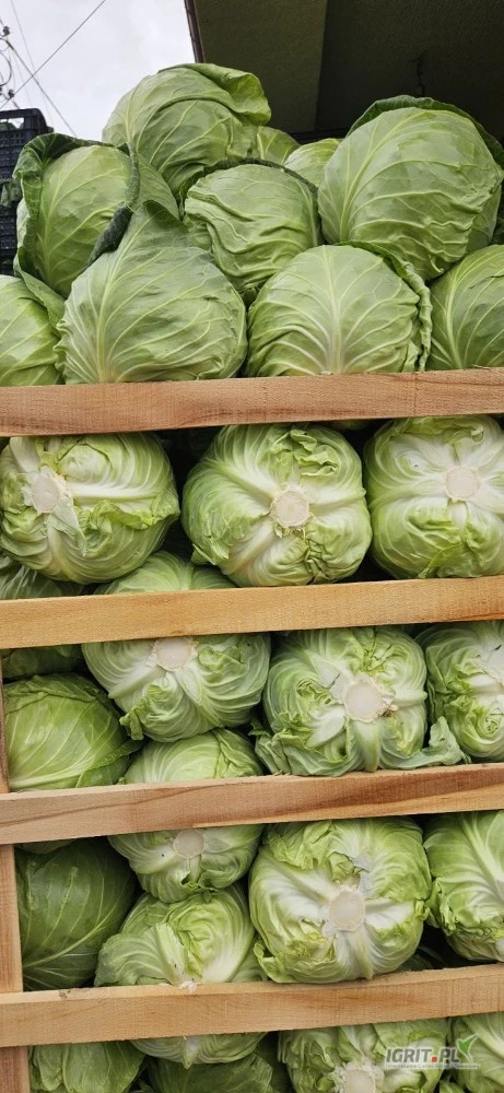 /images/posts/2025/05/2013282/DmYWxkaS2CuAh6xFrPZuuI8WmyH0x5i5M8NzhNe1.jpeg