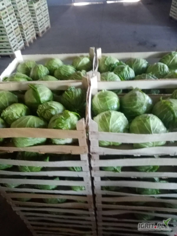 /images/posts/2025/05/2013282/rKRZladKFMz5ZEfnxnCDDlynCy7nZhtkvhIZ4foq.jpeg