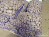 Ziemniaki odmiany Soraya kalibraż 30-55 mm Pakowane w worek 30 kg. Cena 1,20 zł ł za kg.  